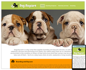 Case Study: Creating a Website for a Dog Boarding and Daycare Service