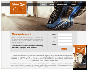 Strive Gym Club